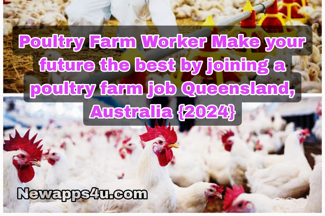 Poultry Farm Worker Make your future the best by joining a poultry farm job in Queensland, Australia {2024}