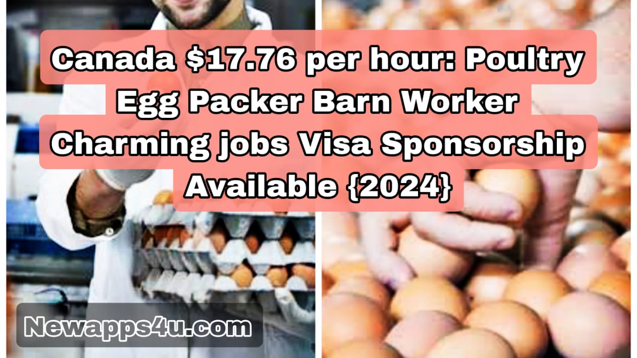 Canada $17.76 per hour: Poultry Egg Packer Barn Worker Charming jobs {2024}