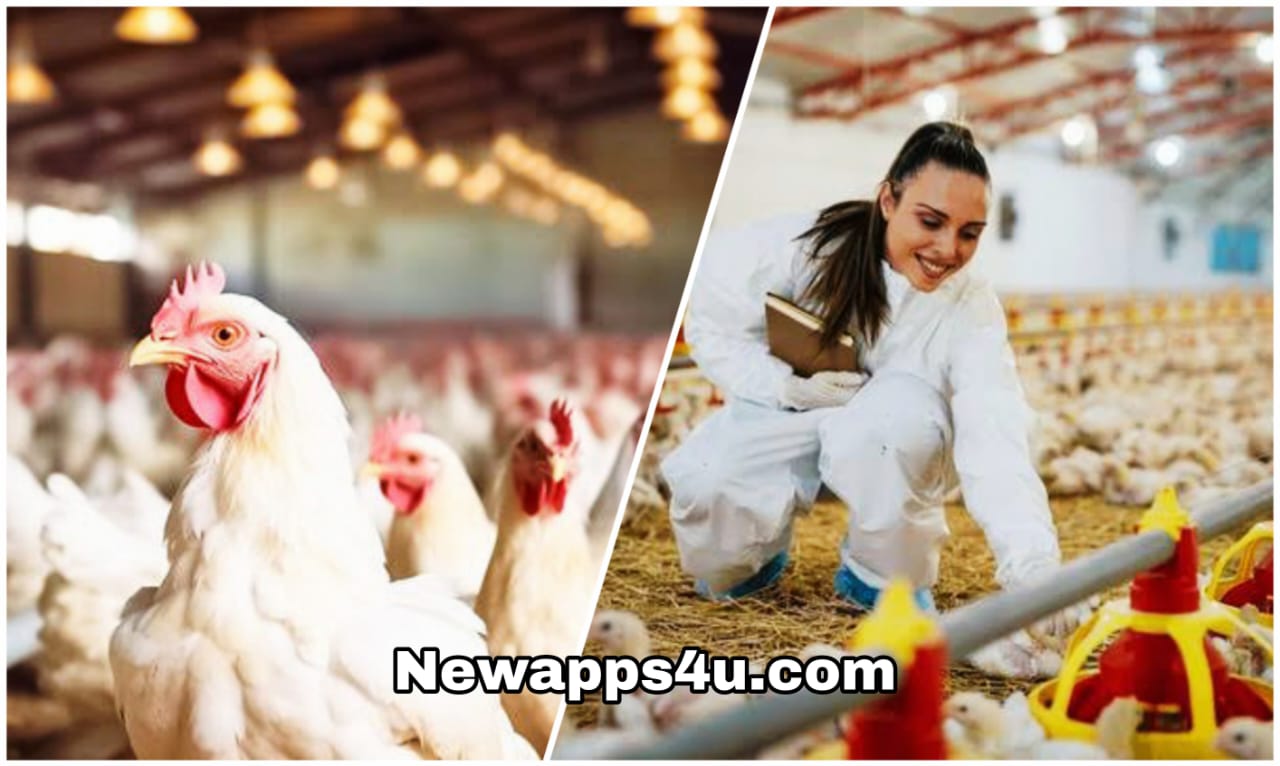 High Payment Deep Dive into the World of Poultry Handlers