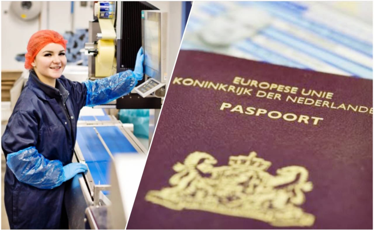 Application Process: Choose the Right Work Visa Type Netherlands Challenges and Solutions Getting