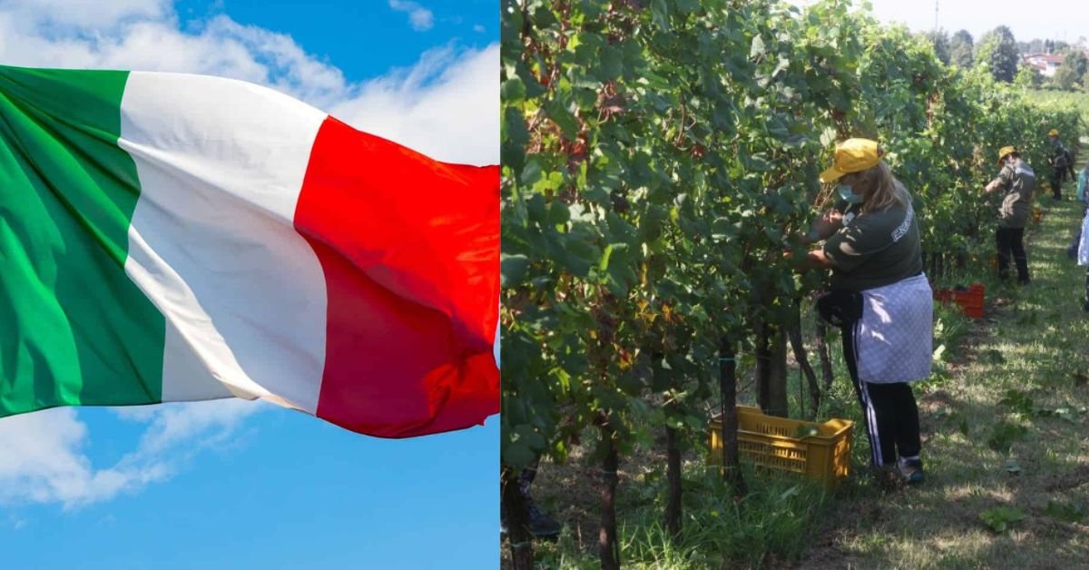 Italy Agriculture Jobs for International Workers