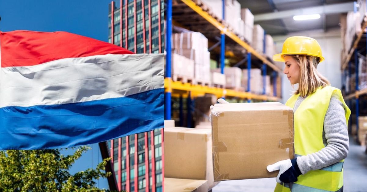 Netherlands Job Openings for International Applicants