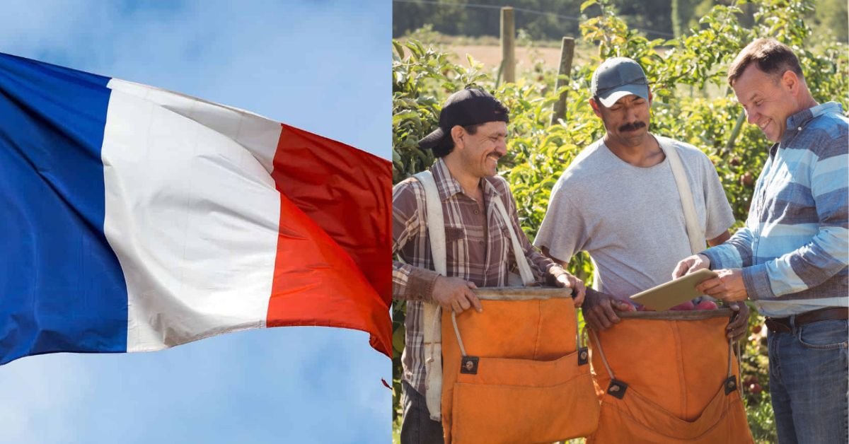 Factory Job in France as an Overseas Worker