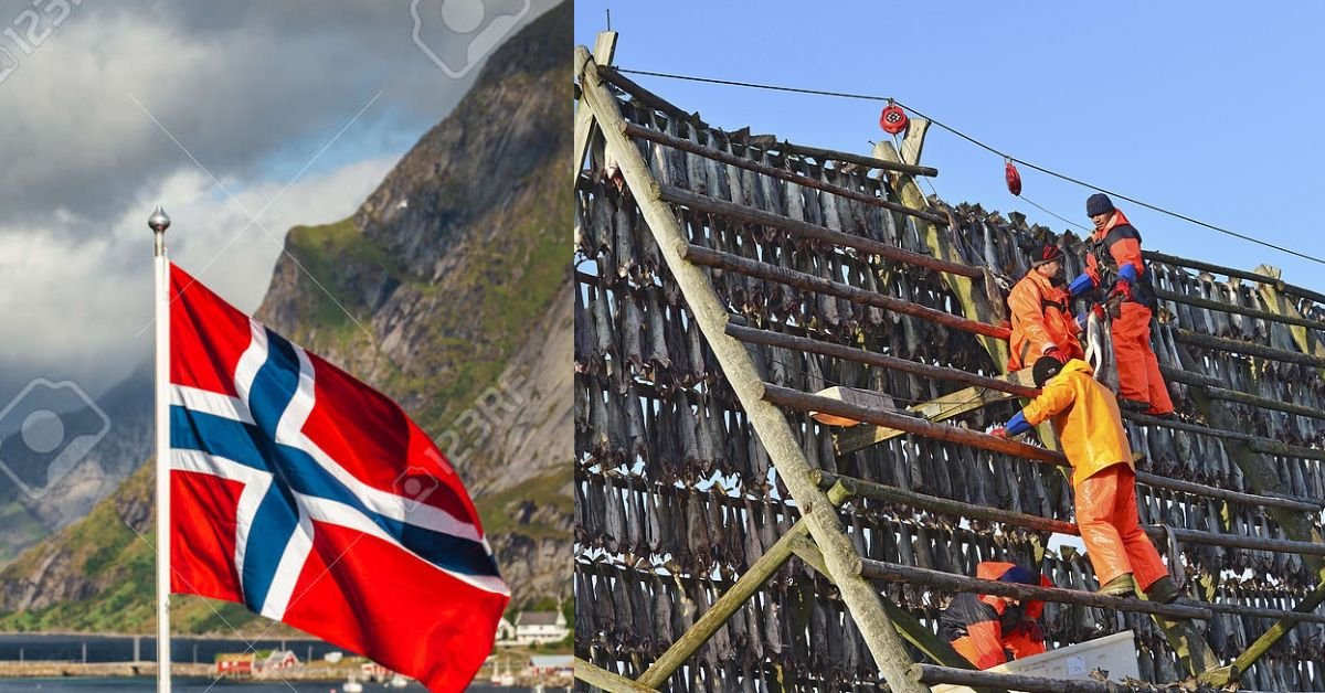 Norway Labour Shortage Jobs – Step-by-Step ApplyNorway Labour Shortage Jobs – Step-by-Step Apply