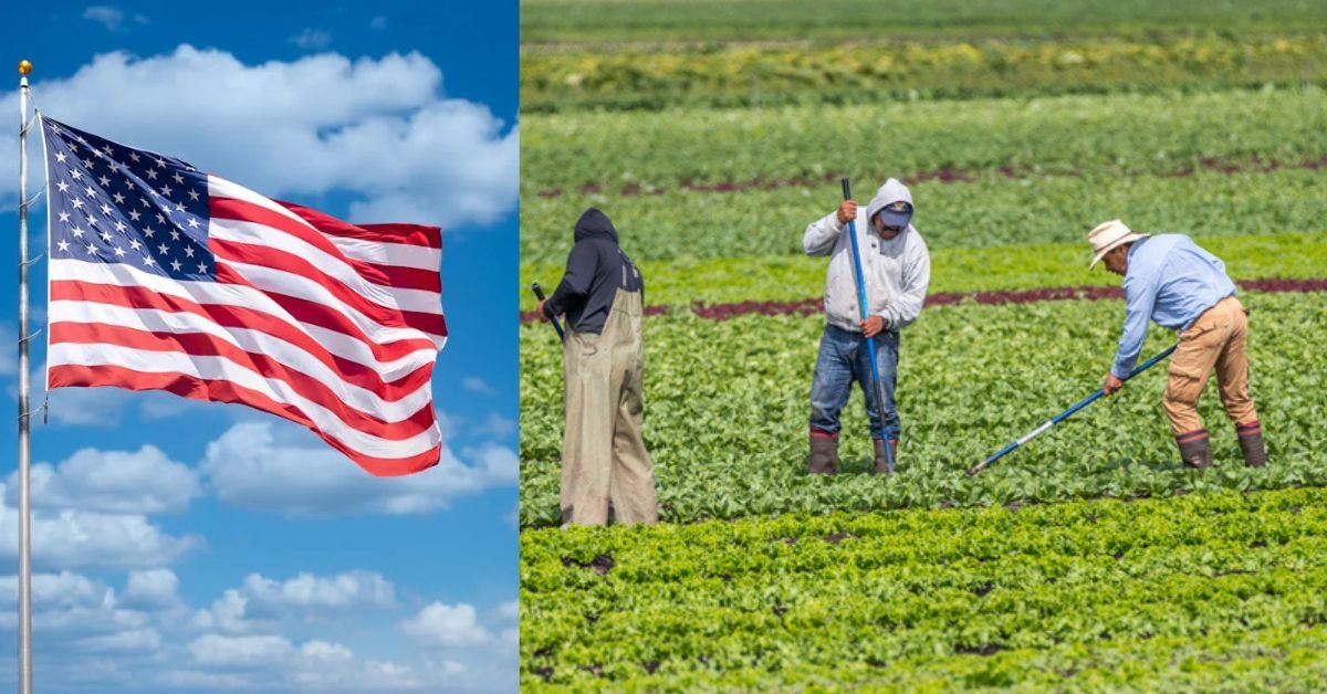 High-Demand Entry-Level Jobs in the USA